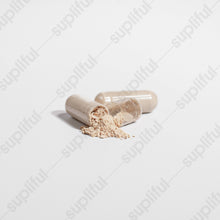 Load image into Gallery viewer, Cordyceps Mushroom
